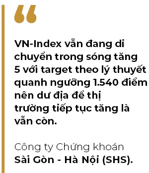 Voi boi canh hien tai, nha dau tu nen dung ngoai hay mua luc chinh?