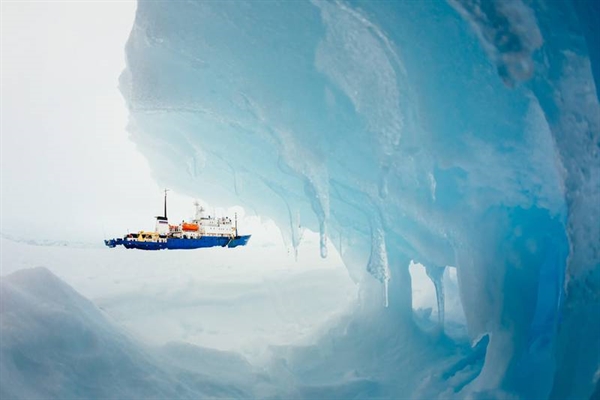 Tàu hàng MV Akademik Shokalskiy bị mắc kẹt trong băng tuyết chờ giải cứu. Ảnh: AFP
