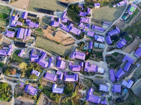 Đảo Banwol - hòn đảo “tím lịm tìm sim” phía Nam Hàn Quốc với hàng trăm mái nhà màu tím. Ảnh: KTO.