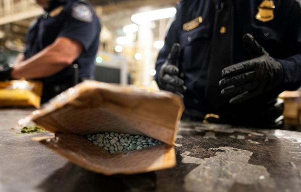 Một nhân viên Hải quan Mỹ tìm thấy những viên thuốc Oxycodon trong một bưu kiện tại Sân bay John F. Kennedy vào tháng 6/2019 ở New York. Ảnh: AFP.