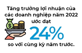 Mirae Asset: Tang truong loi nhuan cua cac doanh nghiep nam 2022 uoc dat 24% so voi cung ky