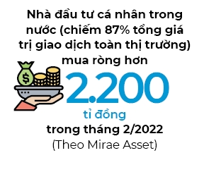 Nha dau tu ca nhan mua rong hon 2.000 ti dong trong thang 2