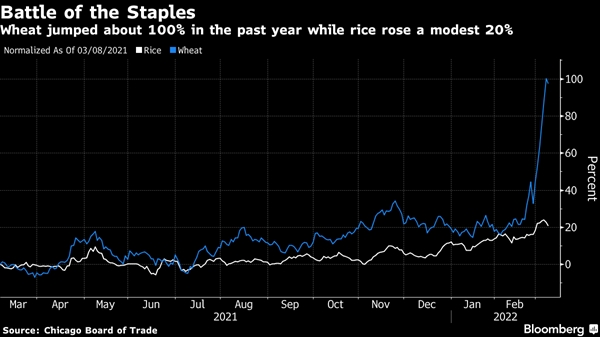 Sự cạnh tranh giữa giá gạo và giá lúa mì. Ảnh: Bloomberg.