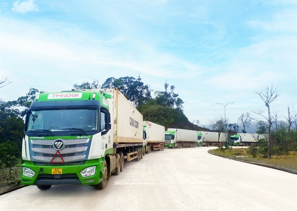 Xe THILOGI vận chuyển trái cây từ Attapeu (Lào) về tập kết chờ thông quan tại cửa khẩu quốc tế Dak Taook - Nam Giang