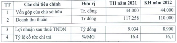 Các chỉ tiêu kinh doanh của Công ty trong năm 2022. Nguồn: CPH.