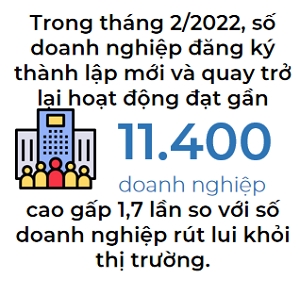 Gan 11.400 doanh nghiep dang ky thanh lap moi va tro lai hoat dong binh thuong trong thang 2