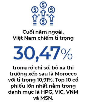 Chung khoan Viet Nam huong loi trong bien dong