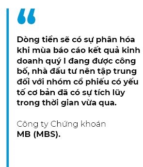 Nha dau tu nen tap trung doi voi nhom co phieu co yeu to co ban