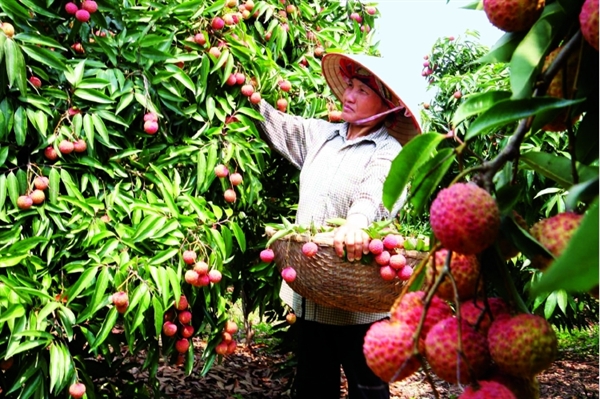 Viet Nam named among three hottest markets in Southeast Asia for 2022