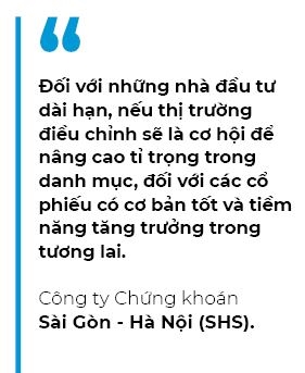 Co phai nha dau tu da “chan” thi truong?