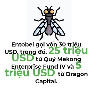 Mekong Capital va Dragon Capital cung rot 30 trieu USD vao cong ty thuc an chan nuoi tu con trung