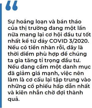 Su hoang loan va ban thao cua thi truong dang mot lan nua mang lai co hoi dau tu 