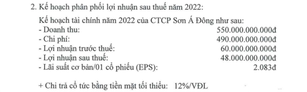 Chỉ tiêu kế hoạch kinh doanh của Sơn Á Đông năm 2022. 