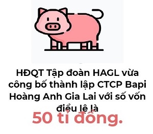 Hoang Anh Gia Lai tham vong mo 5.000 cua hang ban thit heo voi thuong hieu Bapi