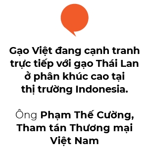 Gao Viet so ke gao Thai