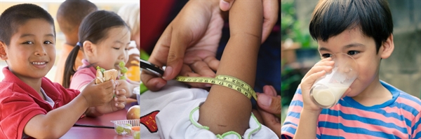 Nghiên cứu SEANUTs thu thập dữ liệu trên gần 14.000 trẻ em từ 06 tháng đến 12 tuổi tại Đông Nam Á