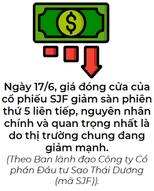 Co phieu giam san 5 phien lien tiep, Ban lanh dao SJF chi ra nguyen nhan chinh la do thi truong