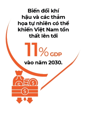 Thoi cua startup cong nghe khi hau