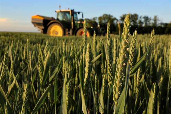 Một nông dân rải phân đạm trên cánh đồng lúa mì của mình, ở Pháp. Ảnh: Reuters.