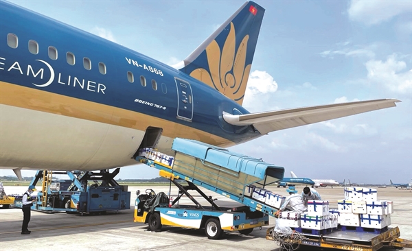 Vietnam Airlines cũng muốn chia phần lớn hơn trong chiếc bánh vận tải hàng hóa. 