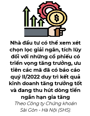 Da den luc nha dau tu hien thuc hoa loi nhuan ngan han?