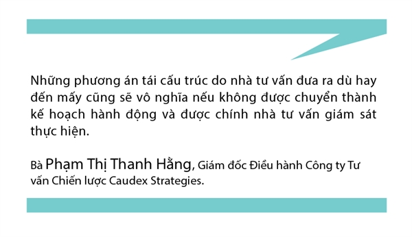 Tai cau truc doanh nghiep – Tu mau den hoa