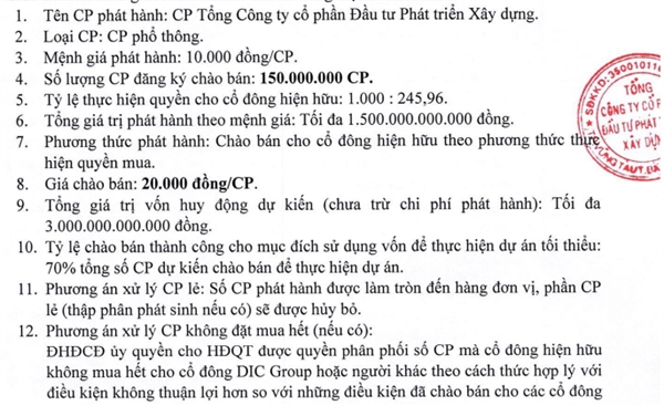 Tờ trình phương án phát hành cổ phiếu của DIC Group. 