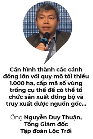 Gao Viet vuot nguong ngan USD