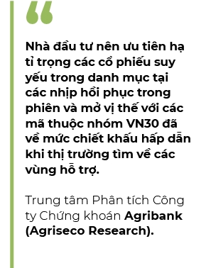 Nha dau tu duoc khuyen nghi uu tien quan tri rui ro