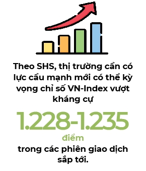 Nha dau tu duoc khuyen nghi uu tien quan tri rui ro