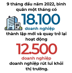 82,6% doanh nghiep che bien, che tao lac quan ve tinh hinh san xuat kinh doanh 