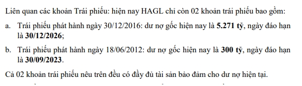 Các khoản trái phiếu còn lại của HAGL. 