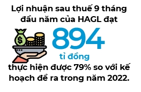 HAGL da thuc hien duoc 79% ke hoach loi nhuan ca nam