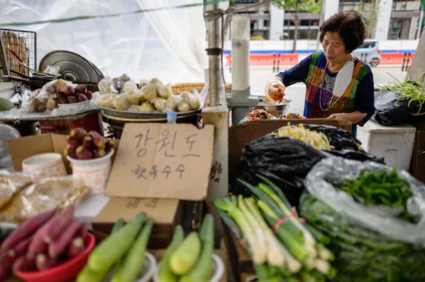 Một người bán rau chuẩn bị kim chi tại quầy hàng của mình ở Seoul. Ảnh: AFP.