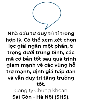 Cac nha dau tu ngan han co the tiep tuc dung ngoai thi truong