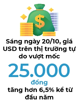 Gia USD tu do vuot 25.000 dong