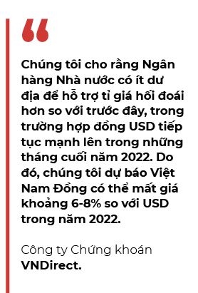 VNDirect: Viet Nam Dong co the mat gia khoang 6-8% so voi USD