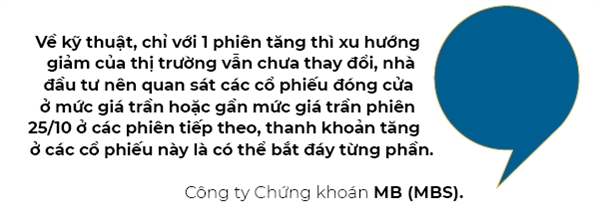 Nhà đầu tư ngắn hạn được khuyến nghị chưa vội bắt đáy