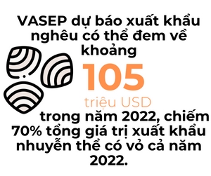 Nam 2022, xuat khau ngheu co the mang ve hon 100 trieu USD