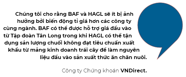 Tac dong trai chieu tu bien dong ti gia den cac doanh nghiep 