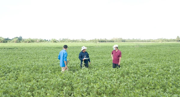 VSAC đã thử nghiệm và xây dựng thành công bốn vùng nguyên liệu trên cả nước