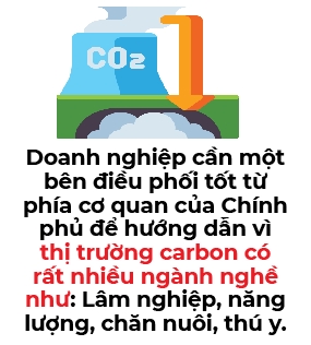 Xay dung thi truong tin chi carbon rung o Viet Nam