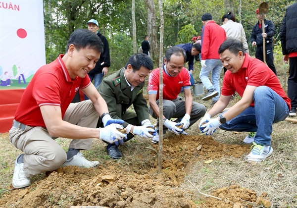 Dai-ichi Life Việt Nam đã phát động trồng 1.600 cây mùa xuân tại Vườn Quốc gia Cúc Phương.