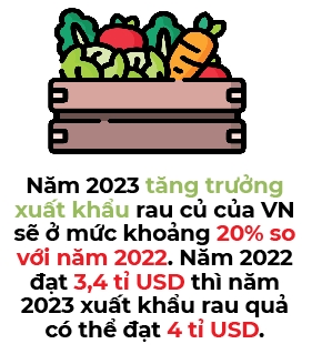 2023 co the la nam “bung no” cua nganh rau qua