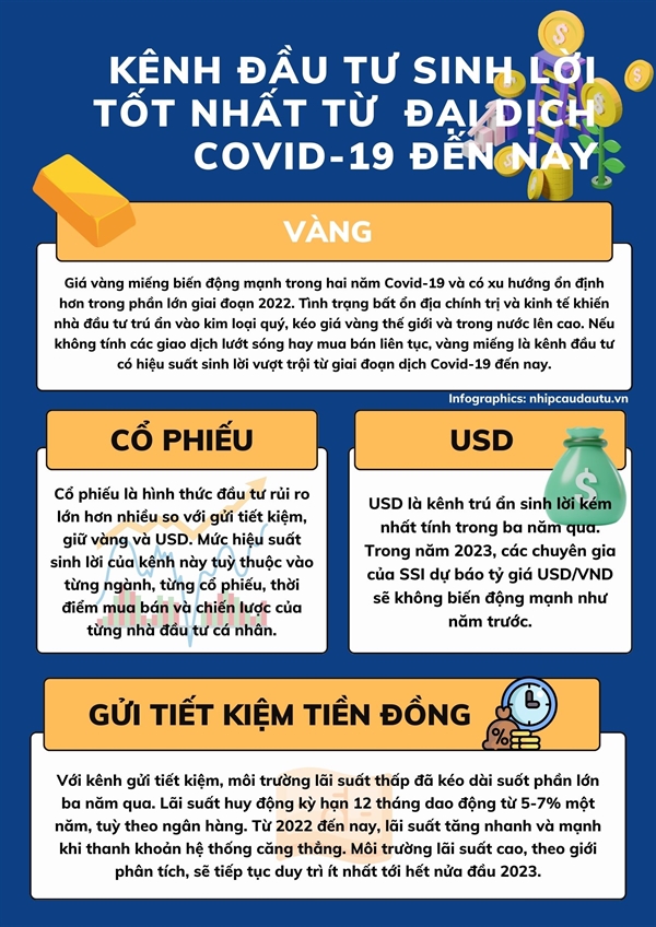 [Infographic] Kenh dau tu sinh loi tot nhat tu dai dich COVID-19 den nay