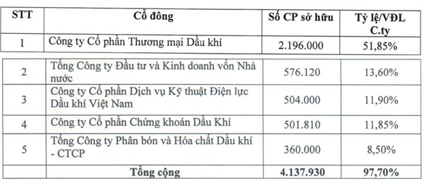 Cơ cấu cổ đông tại  Công ty Cổ phần Công nghệ thông tin, viễn thông và tự động hóa Dầu khí vào tháng 4/2021. Nguồn: PAI