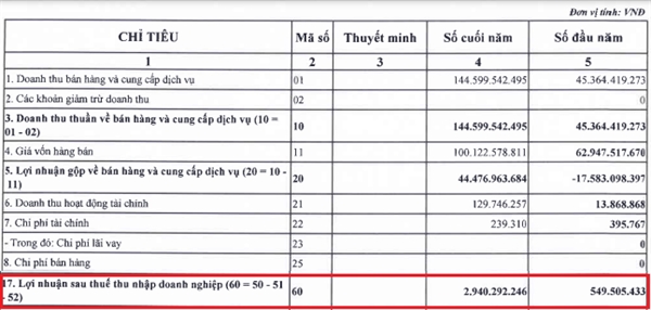 Doanh thu và lợi nhuận của Thảo Cầm Viên tăng trưởng mạnh trong năm 2022. Nguồn: BCTC Thảo Cầm Viên