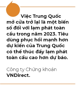 Du bao GDP Viet Nam se tang truong 5,6% trong quy I/2023