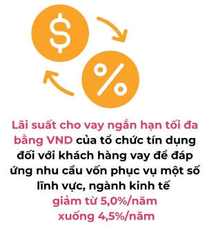 Ngan hang Nha nuoc Viet Nam tiep tuc giam cac muc lai suat dieu hanh