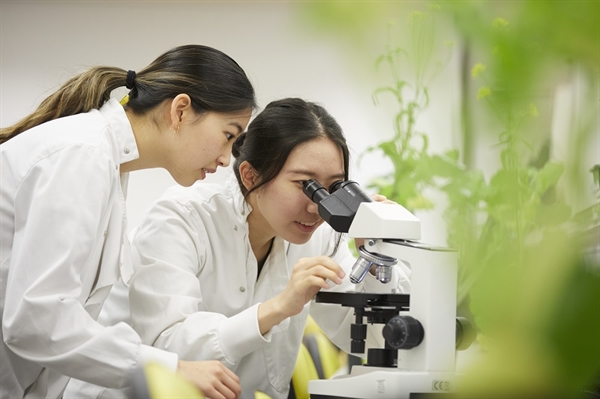 Sinh viên NCUK tại University of Bristol  Ngôi trường thuộc nhóm các trường Russell Group danh giá của Vương Quốc Anh